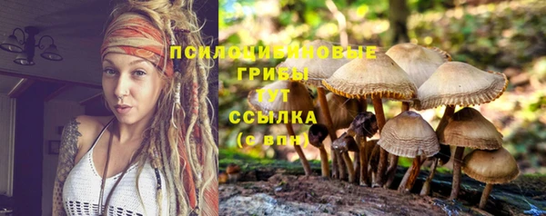 ешки Богородск