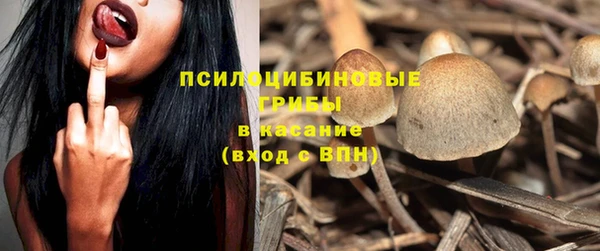 ешки Богородск