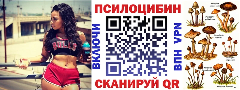 хочу   Санкт-Петербург  Псилоцибиновые грибы ЛСД 